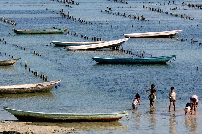 Swim With Manta Rays Snorkeling and Village Tour Lembongan - FAQ