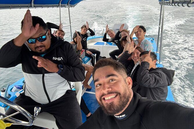 Swim with the whale shark in La Paz, Mexico - Overview of the Experience