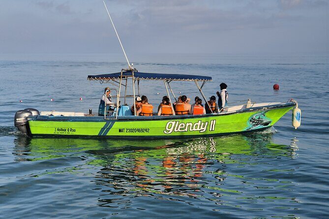 Swim with the Whale Shark on Holbox Island - The Real Value of the Tour