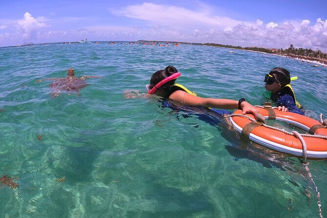 Swim with Turtles in Akumal + GoPro Photo Session - Photos and Memories