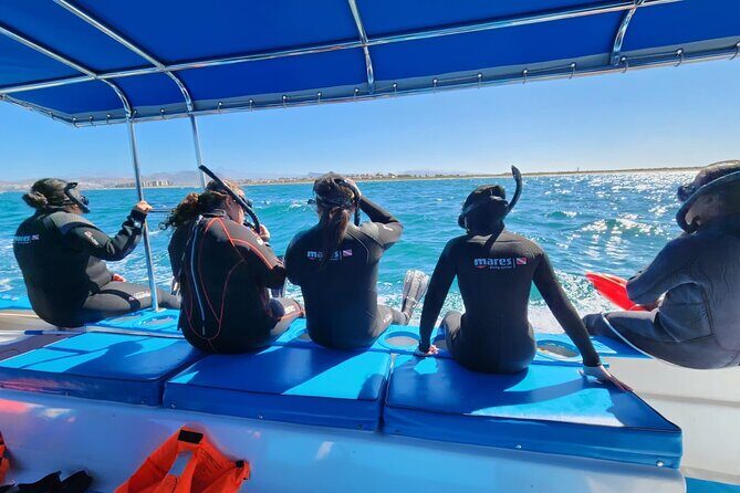 Swim with Whale Sharks in La Paz - Whats Included and Whats Not