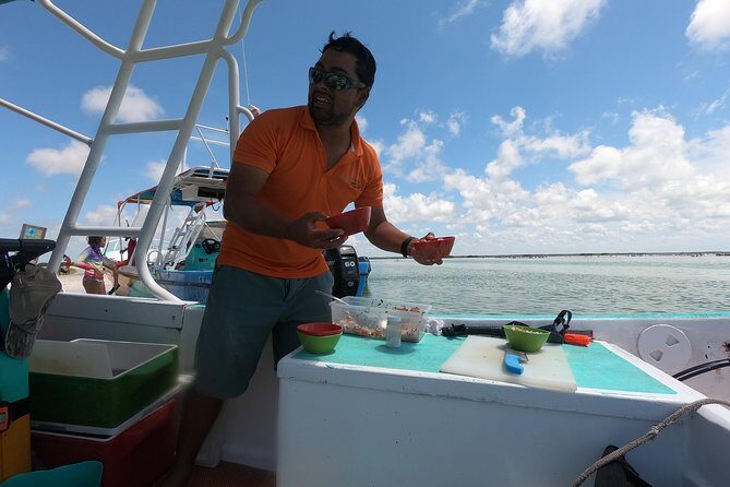 Swim with whale sharks on a private tour - Price & Value Analysis