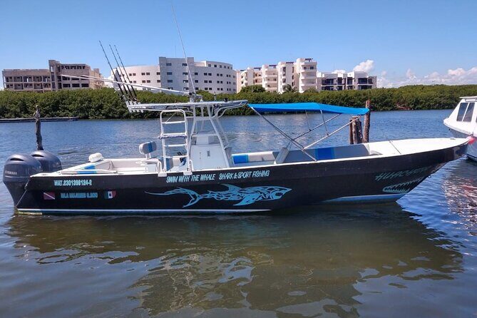 Swim with Whale Sharks Private tour from Playa del Carmen - An In-Depth Look at the Tour
