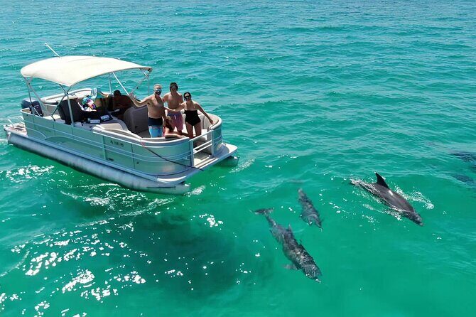 Swimming in a Dolphin and Manatee Lagoon Boat Tour - Key Points