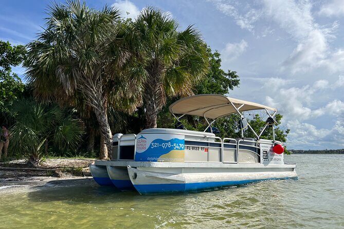 Swimming in a Dolphin and Manatee Lagoon Boat Tour - Why This Tour Offers Good Value