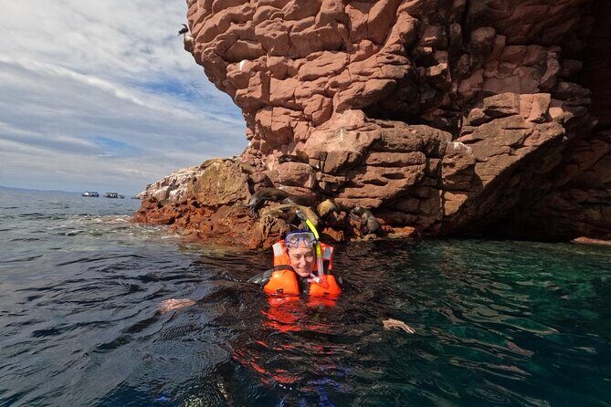 Swimming with sea lions in Isla Espiritu Santo, La Paz, Mexico - What Sets This Tour Apart