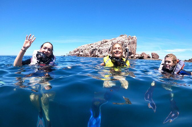 Swimming with sea lions in Isla Espiritu Santo, La Paz, Mexico - Practical Details