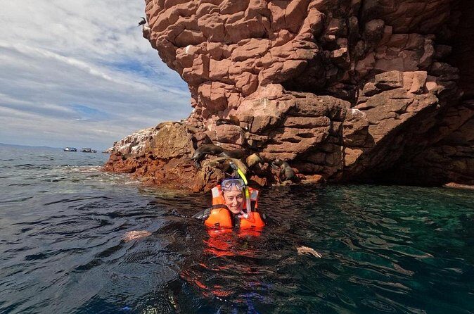 Swimming with sea lions in Isla Espiritu Santo, La Paz, Mexico - Who Should Consider This Tour?