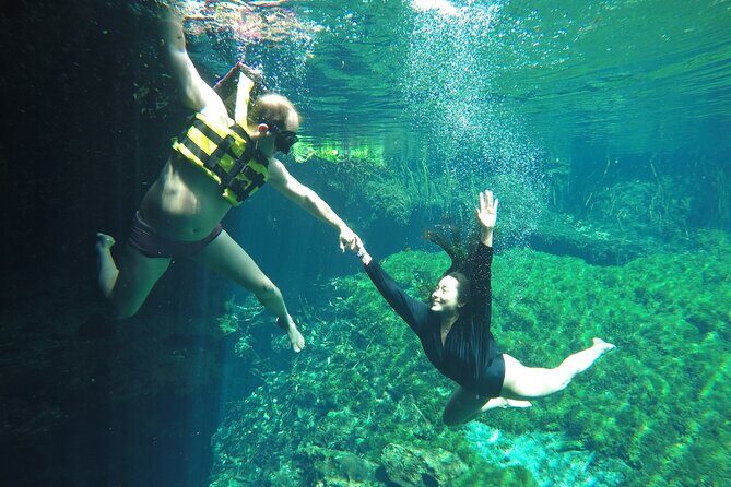 Swimming with turtles, 2 cenotes & gopro - Who Is This Tour Best For?