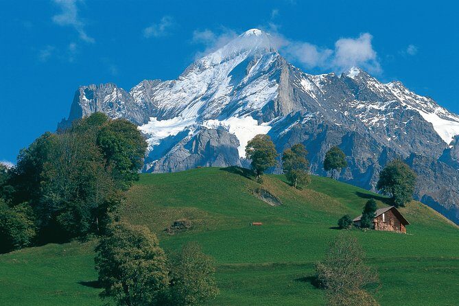 Swiss Alps: Interlaken and Grindelwald Day Trip from Zurich - What You Can Expect from the Tour