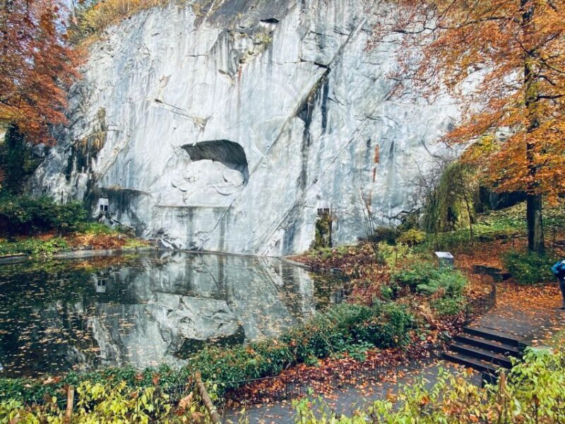 Swiss Chocolate Safari - Key Points