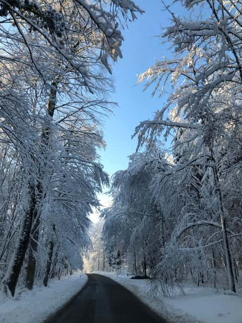 Swiss Highlights: Guided Zürich, Lucerne and Basel tour - The Value of This Tour