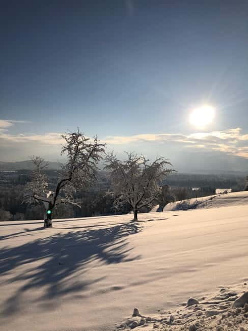 Swiss Highlights: Guided Zürich, Lucerne and Basel tour - The Sum Up