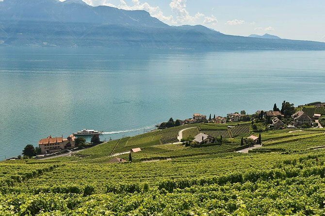 Swiss Wine Tasting at Lavaux Vineyards: Private Trip from Geneva - A Deep Dive into the Experience