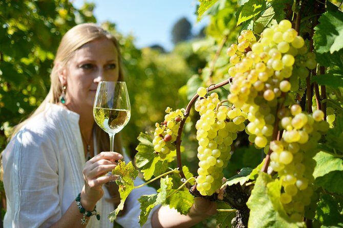 Swiss Wine Tasting at Lavaux Vineyards: Private Trip from Geneva - Transportation and Comfort