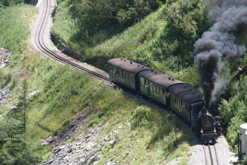 Switzerland: Private Day Tour by car with unlimited km - Who Should Consider This Tour?