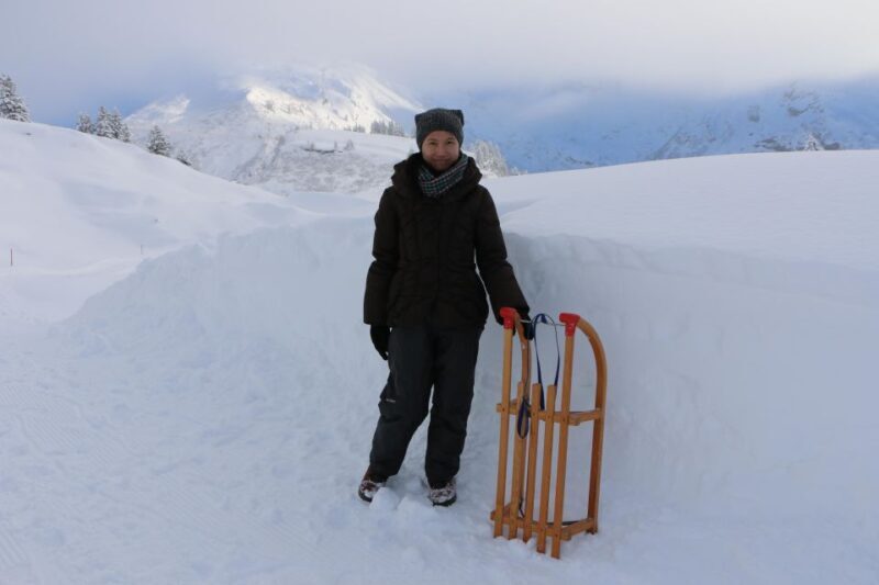 Switzerland: Private Sledging Day Tour - An Introduction to the Private Sledging Day Tour