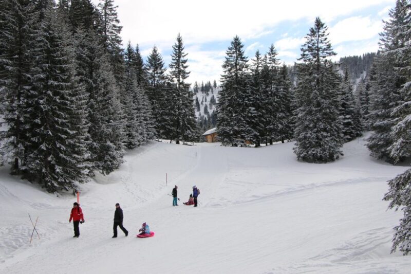 Switzerland: Private Sledging Day Tour - Costs & What’s Included