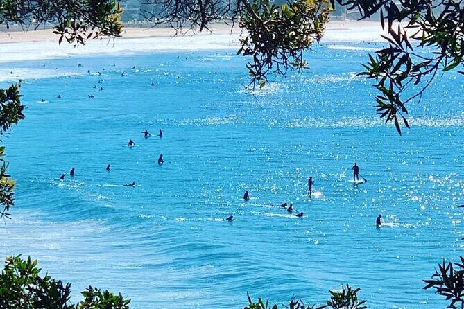 Sydney 6 Hour Private Tour - Practical Details