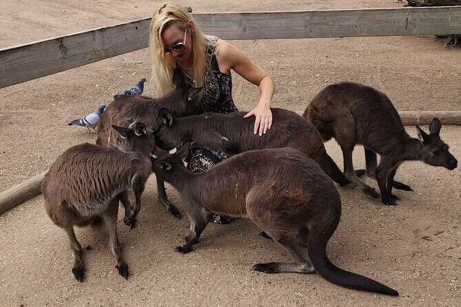 Sydney and Blue Mountains in One Day Private Tour - Frequently Asked Questions