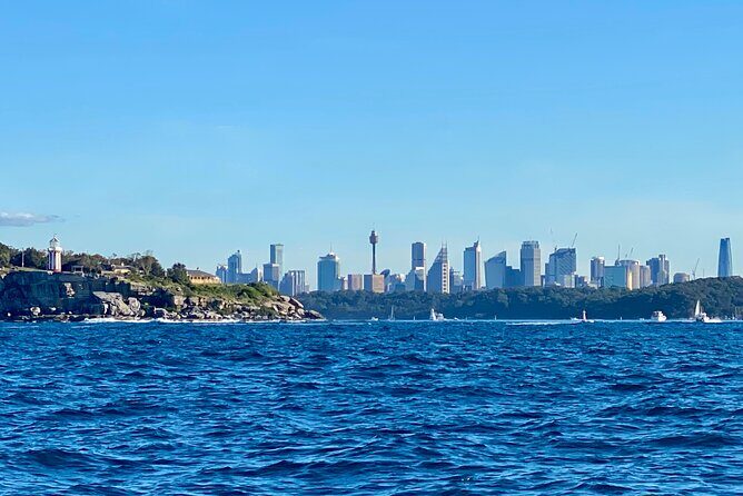 Sydney Beaches Half Day Drive and Walk Tour - The Sum Up: Is This Tour for You?