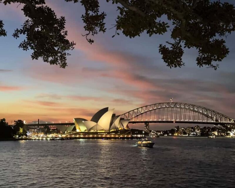 Sydney: Big Bus Panoramic Night Tour by Open-Top Bus - Key Points