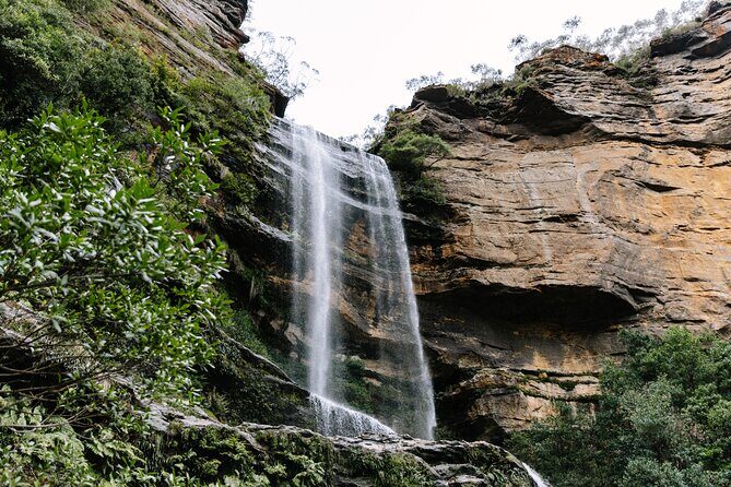 Sydney Blue Mountains Day Tour with Wildlife Park and Waterfalls - Introduction