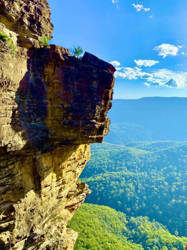 Sydney Blue Mountains Day Trip with Scenic World Entry - Final Thoughts: Who Will Appreciate This Tour?