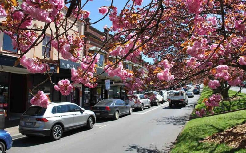 Sydney: Blue Mountains & Featherdale Wildlife Park Day Trip - What the Reviews Say About This Experience