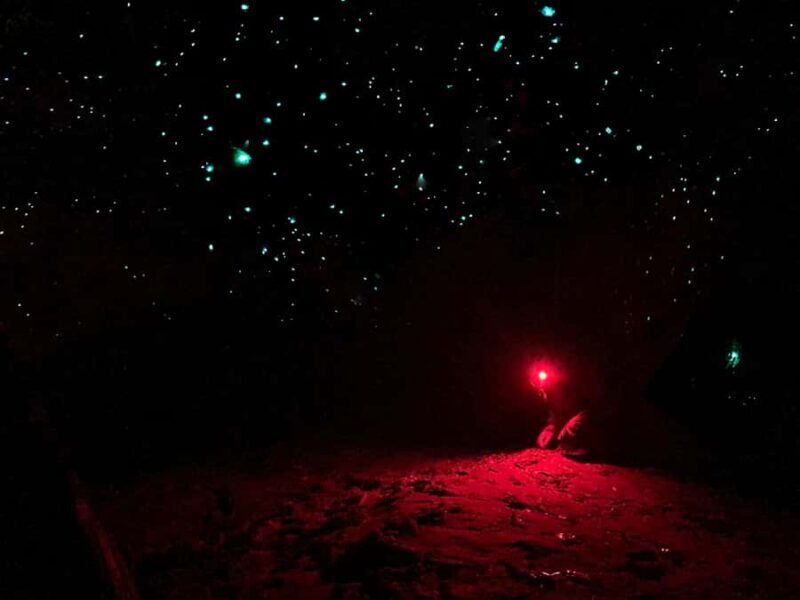 Sydney: Blue Mountains Glow Worms Wild Adventure by Night - Sydney: Blue Mountains Glow Worms Wild Adventure by Night — A Deep Dive into an Unforgettable Experience