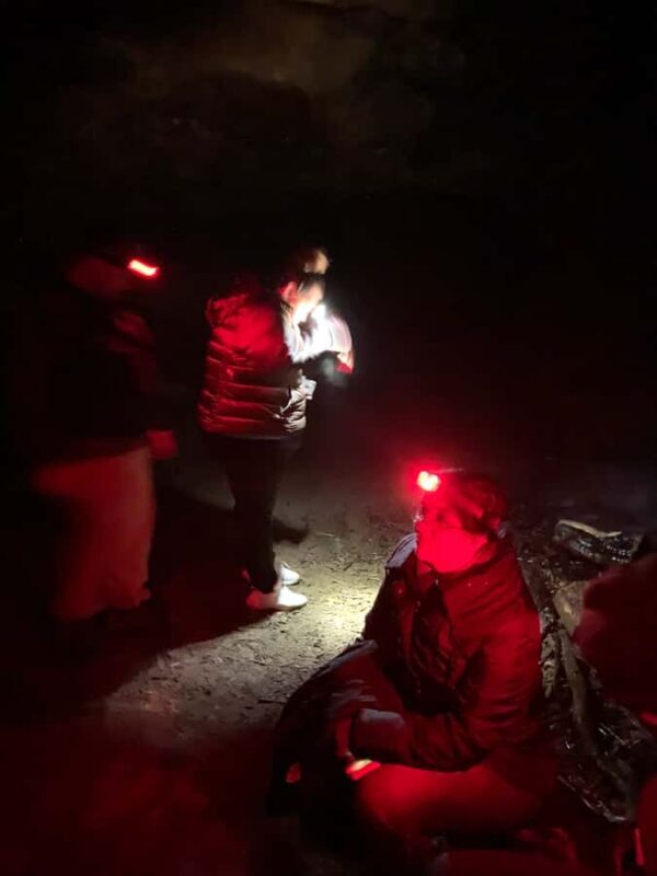 Sydney: Blue Mountains Glow Worms Wild Adventure by Night - Authentic Insights from Other Travelers