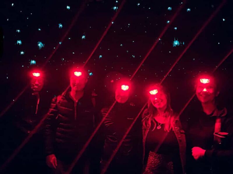 Sydney: Blue Mountains Glow Worms Wild Adventure by Night - FAQ