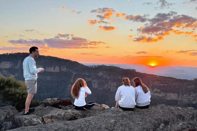 Sydney: Blue Mountains Kangaroos, Wilderness and Sunset Tour - A Deep Dive into the Experience