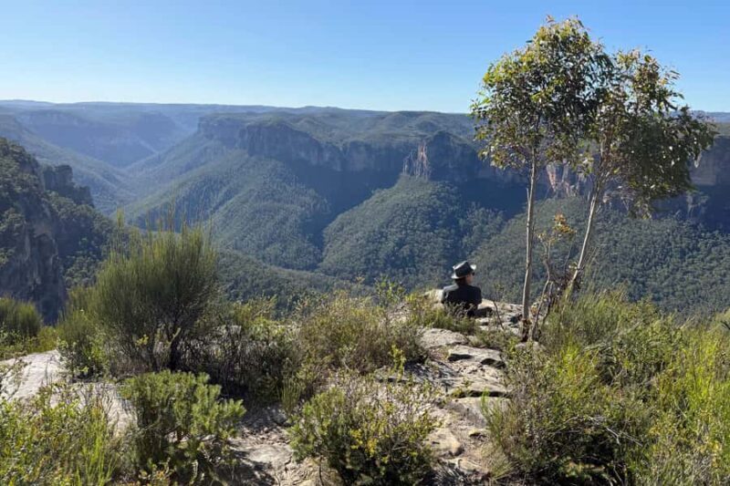 Sydney: Blue Mountains Kangaroos, Wilderness and Sunset Tour - Who Will Love This Tour?