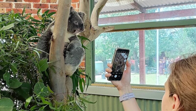 Sydney: Blue Mountains Late Start: Walks, Wildlife & Dinner - Frequently Asked Questions