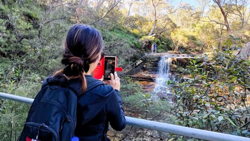 Sydney: Blue Mountains Late Start: Walks, Wildlife & Dinner - Final Thoughts