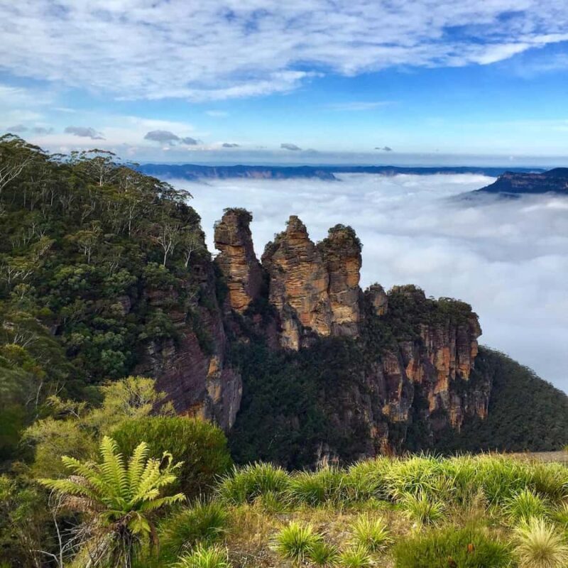 Sydney: Blue Mountains Private Wildlife Adventure Tour - An In-Depth Look at the Blue Mountains Private Wildlife Adventure