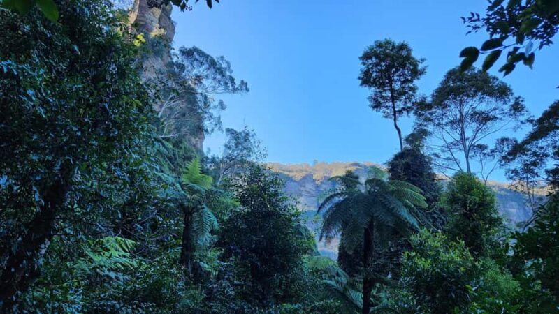Sydney Blue Mountains, Scenic World, Featherdale (Private) - Practical Tips for Travelers