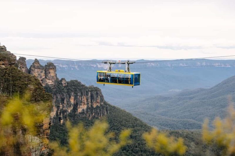 Sydney: Blue Mountains Scenic World, Wildlife Park and Lunch - An Introduction to the Experience