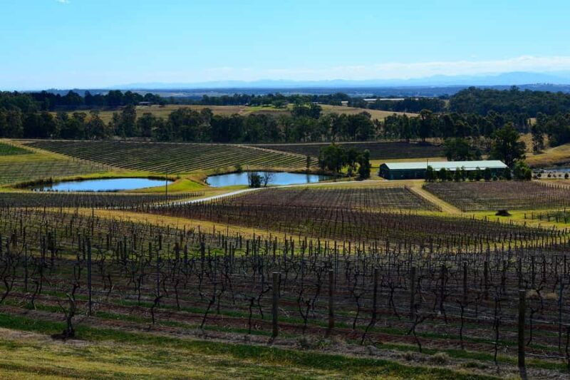 Sydney: Chef-Led Hunter Valley Food & Wine Tour - An In-Depth Look at the Sydney: Chef-Led Hunter Valley Food & Wine Tour