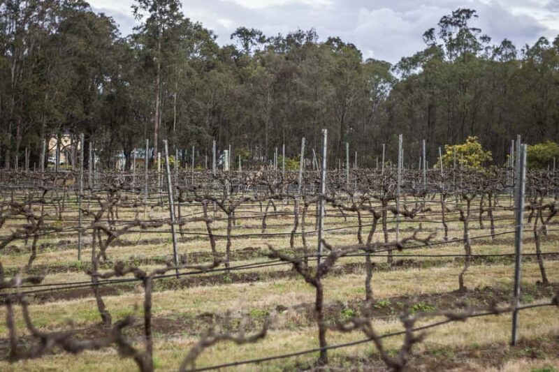 Sydney: Chef-Led Hunter Valley Food & Wine Tour - Frequently Asked Questions