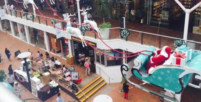 Sydney: City and Surrounding Sightseeing Luxury Private Tour - What to Expect on the Sydney Luxury Private Tour