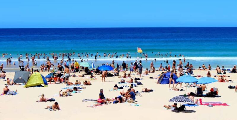 Sydney: City and Surrounding Sightseeing Luxury Private Tour - Final Thoughts