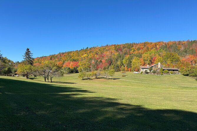 Sydney City Coastline and Blackett's Lake Tour - Exploring Sydney’s Historic Downtown and Coastal Landmarks