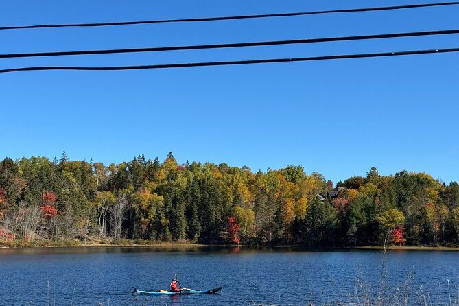 Sydney City Coastline and Blackett's Lake Tour - Practical Details and What to Expect