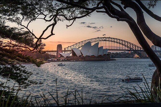 Sydney City Hidden Gem Half Day Small Group Tour - FAQ: Your Practical Questions Answered
