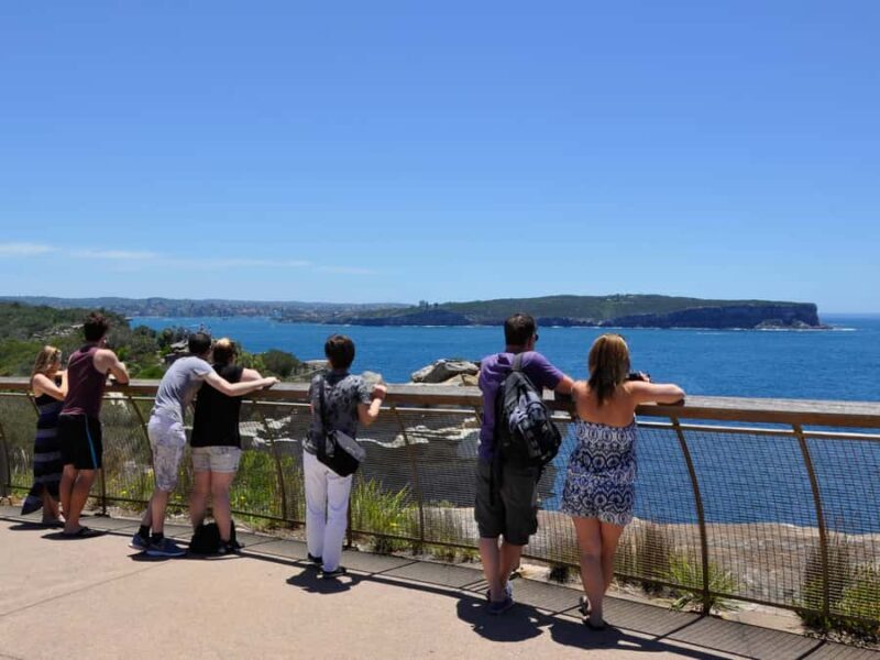 Sydney: City Highlights Guided Bus Tour - Authentic Experiences and Insider Tips