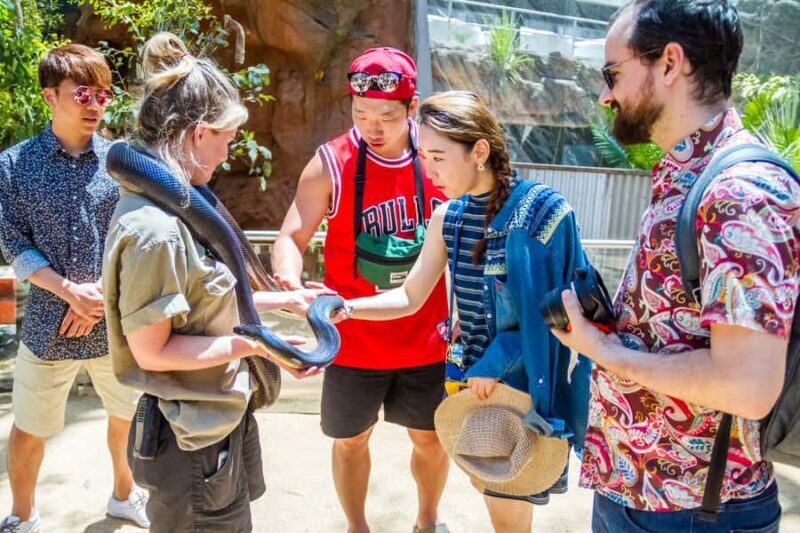 Sydney: Combo Pass for 2, 3, or 4 Top City Attractions - The Attractions in Detail