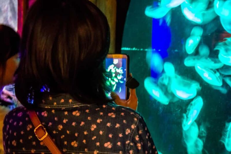 Sydney: Combo Pass for 2, 3, or 4 Top City Attractions - Frequently Asked Questions