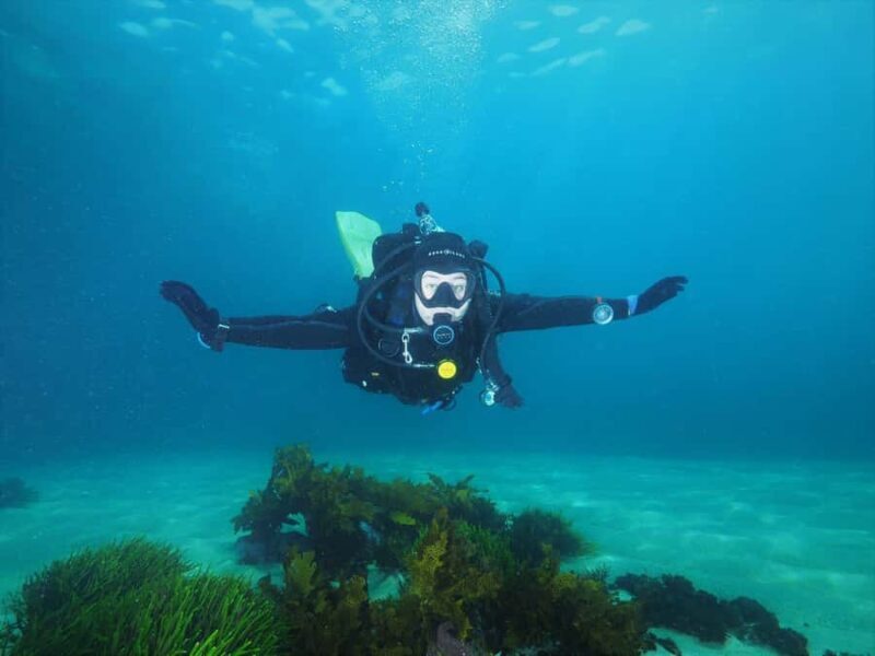 Sydney: Discover Scuba Dive at Australia's most Iconic Beach - Exploring the Bondi Experience: What to Expect